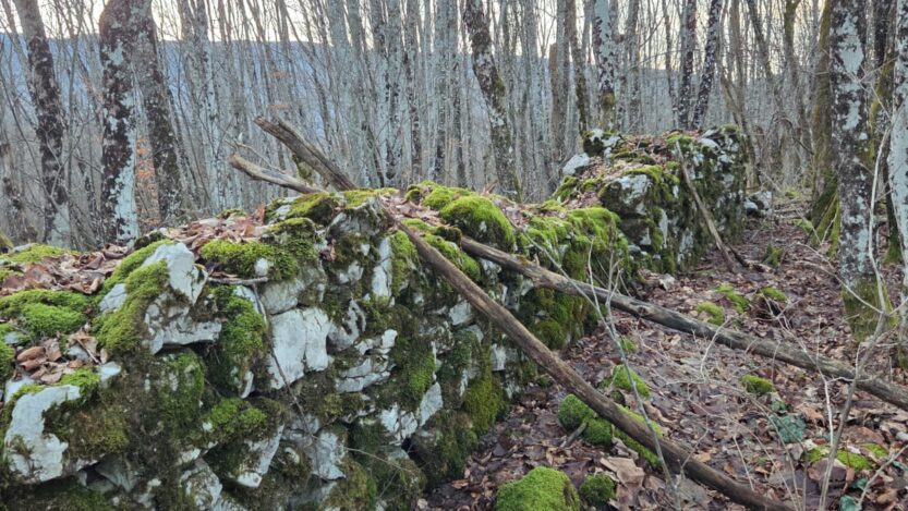 FOTO: Neven Vojić Nešo