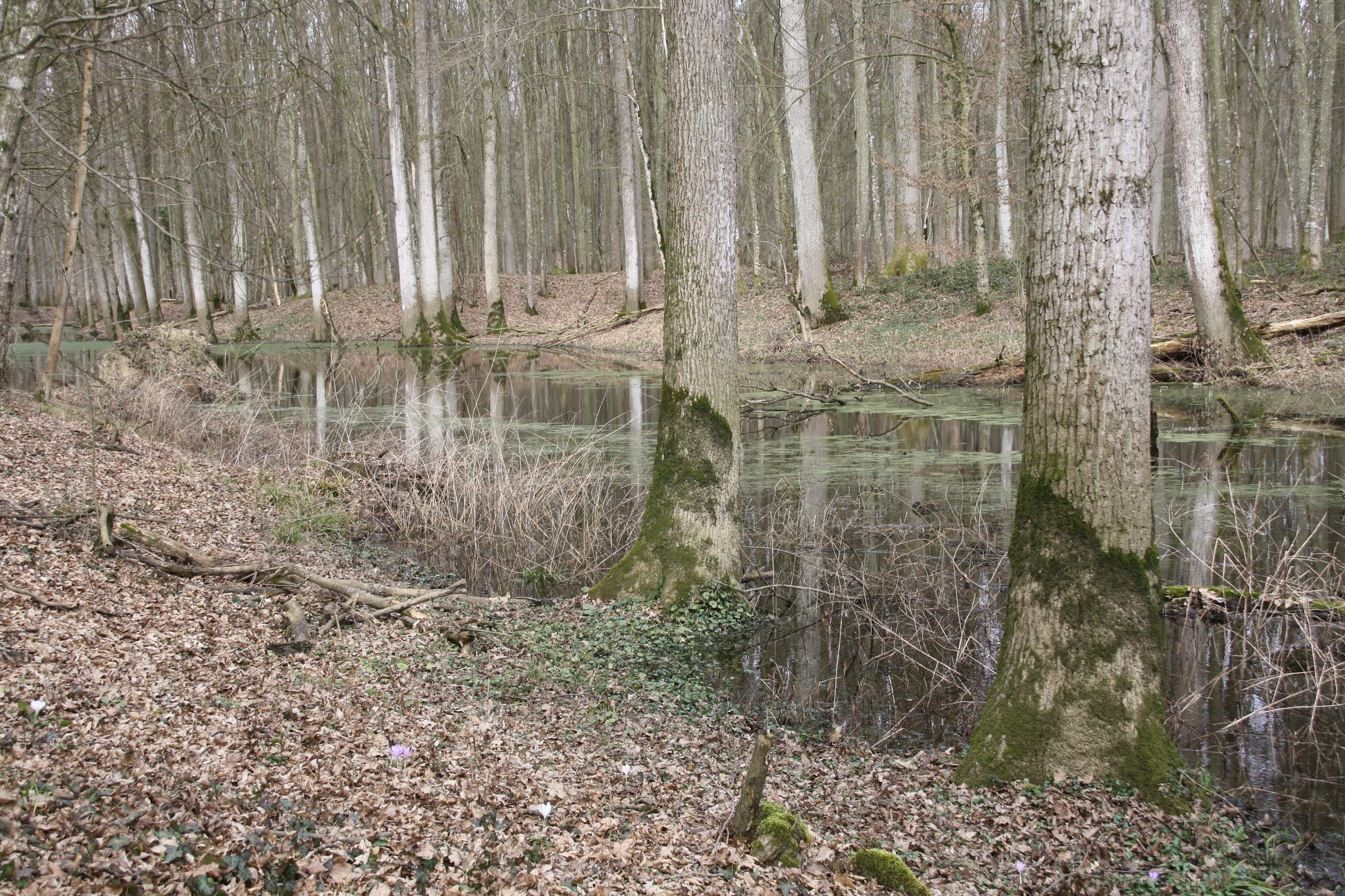 Na fotografiji se s desne strane preko kanala vide ostaci utvrde. FOTO: Tomislav Grđan