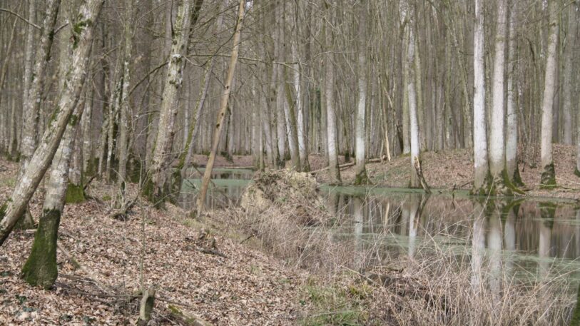 FOTO: Tomislav Grđan