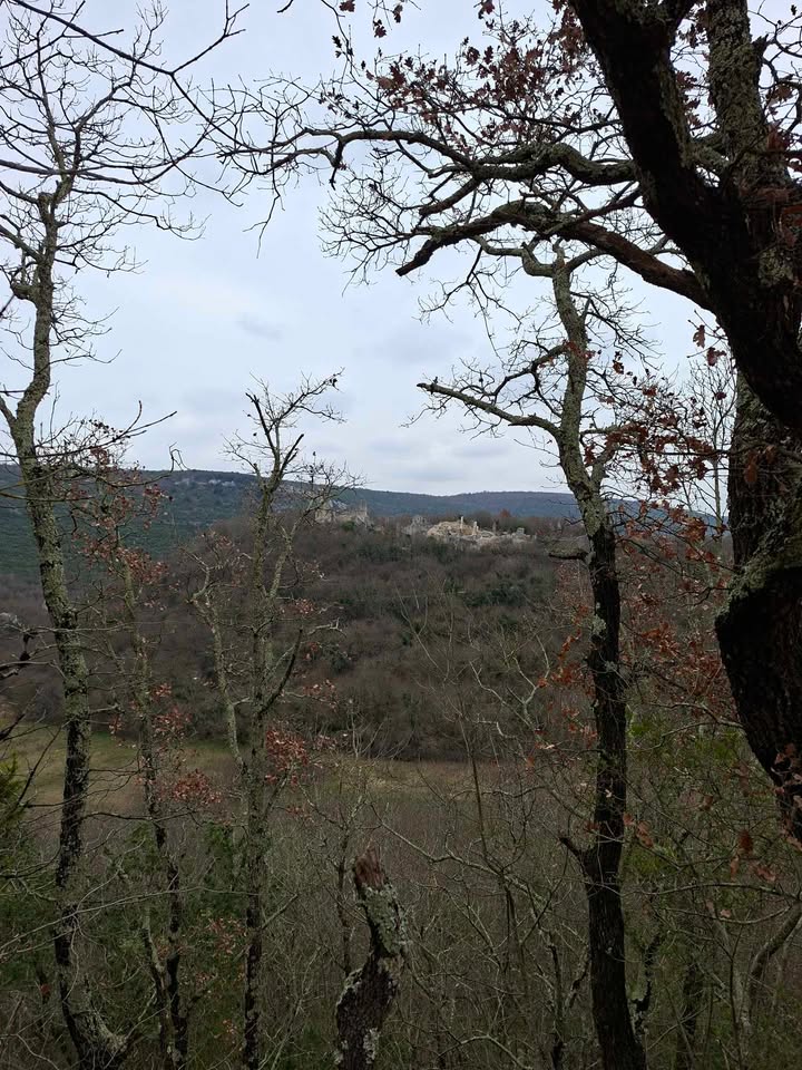 Pogled prema Dvigradu sa Parentina FOTO: Tin Knežević 