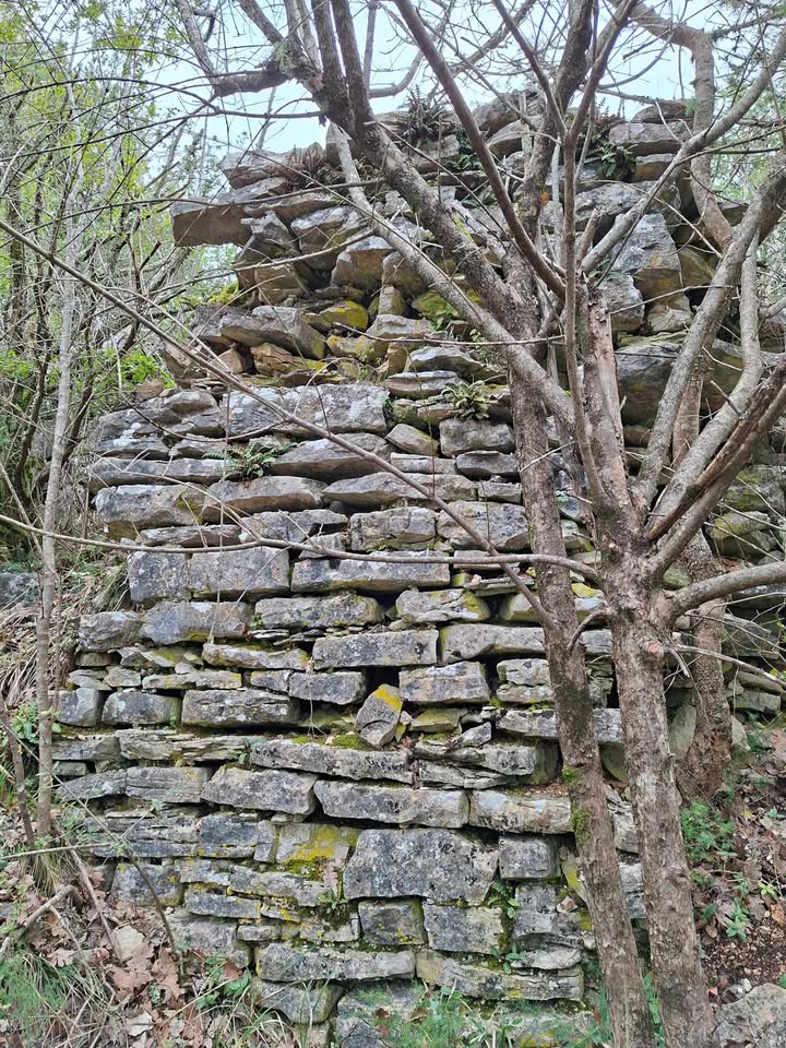 FOTO: Tin Knežević 