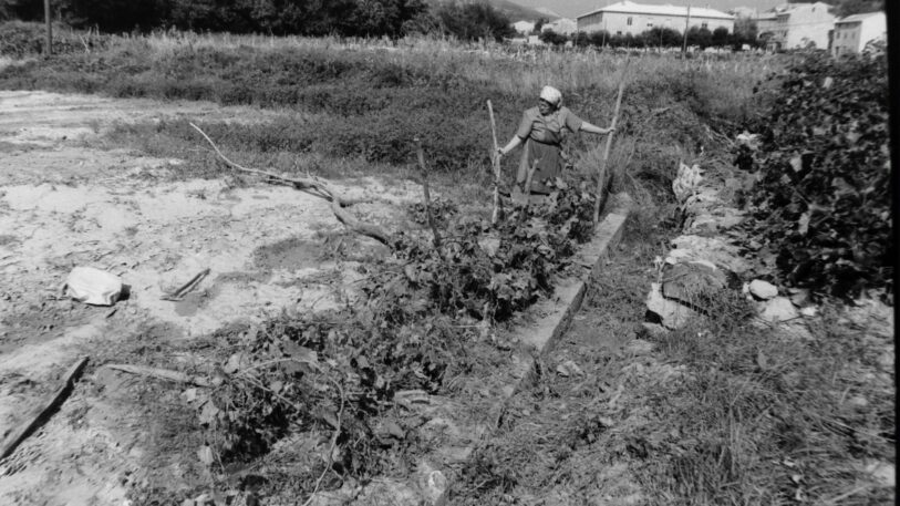 FOTO: Dragan Joksimović