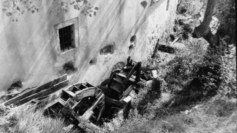 Mlin u Bašćanskoj dolini. FOTO: Dragan Joksimović