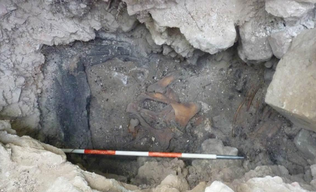 Ostatak drvenih greda i kostura FOTO: Srđan Đuričić