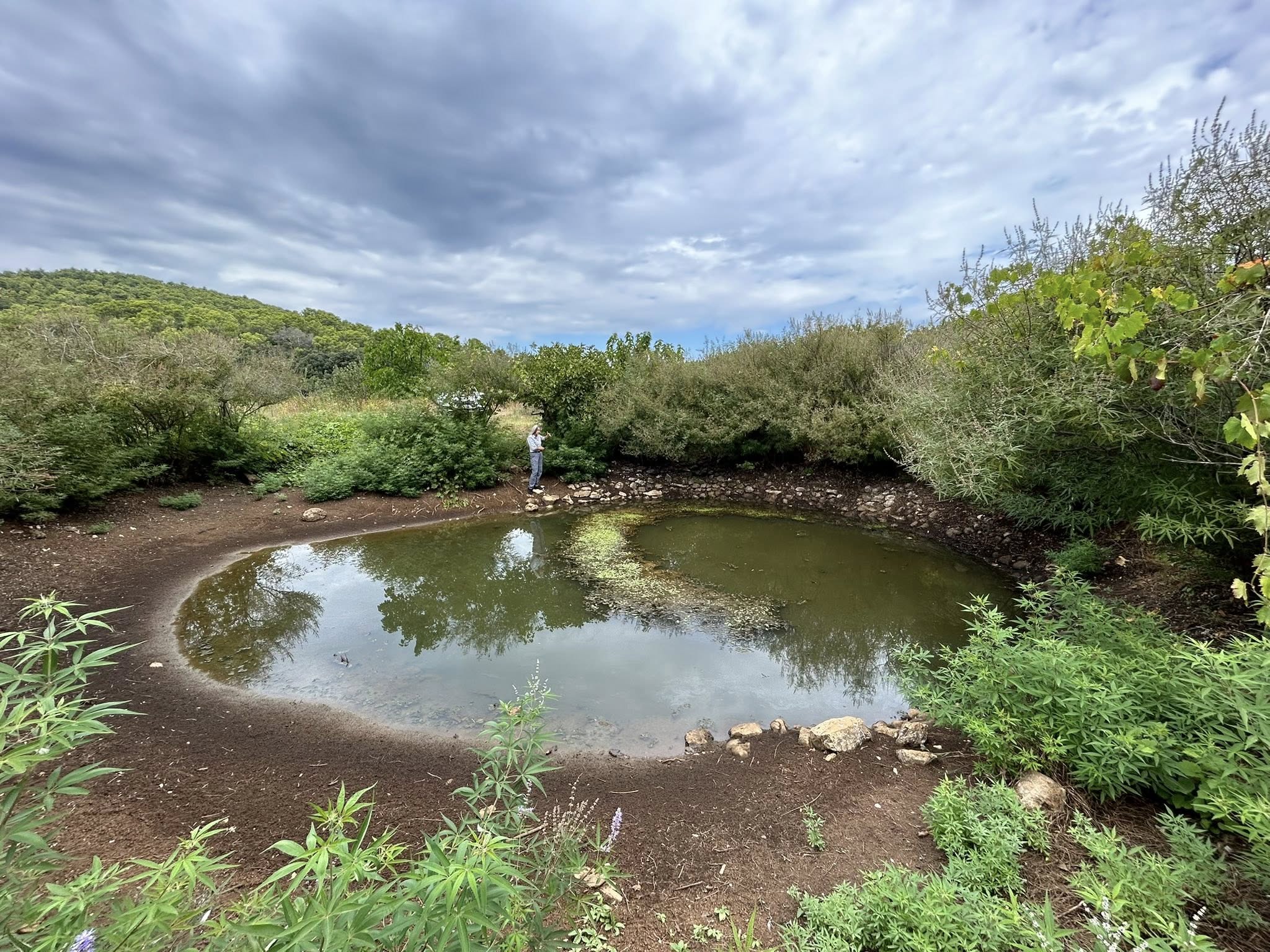 Lokva FOTO: Alen Čikada 