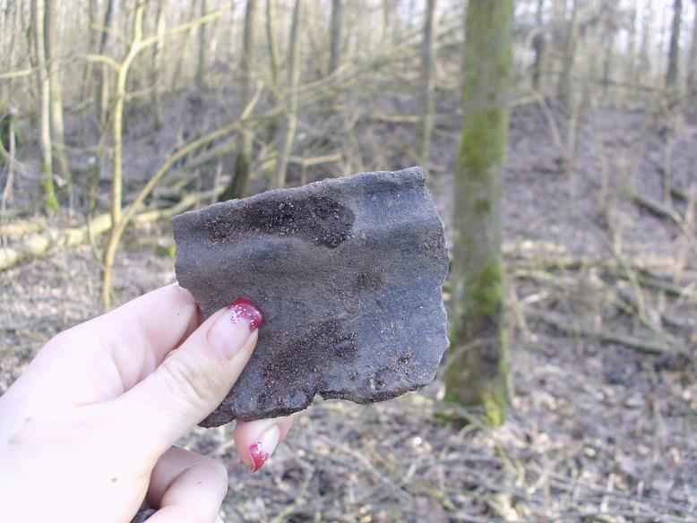 Ostaci života sa lokacije utvrde. FOTO: Denisov geo kutak, denissinger.wordpress.com