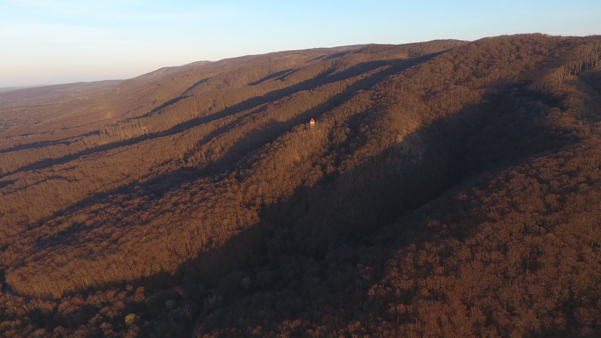 FOTO: Dalibor Lovrić 