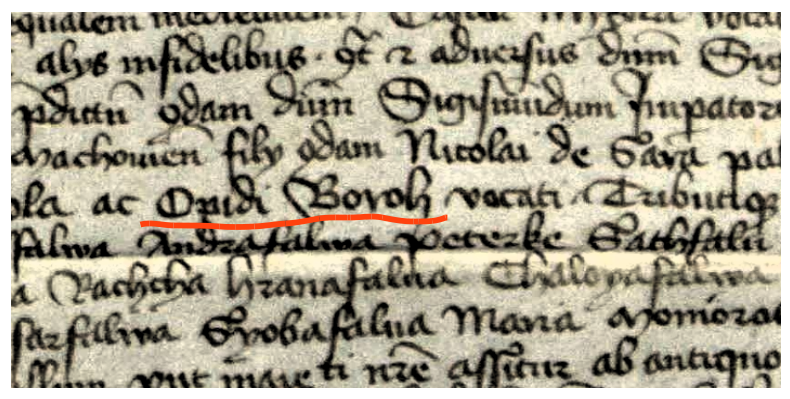 Opidum Boroh na srednjovjekovnoj listini. Izvor hungaricana.hu