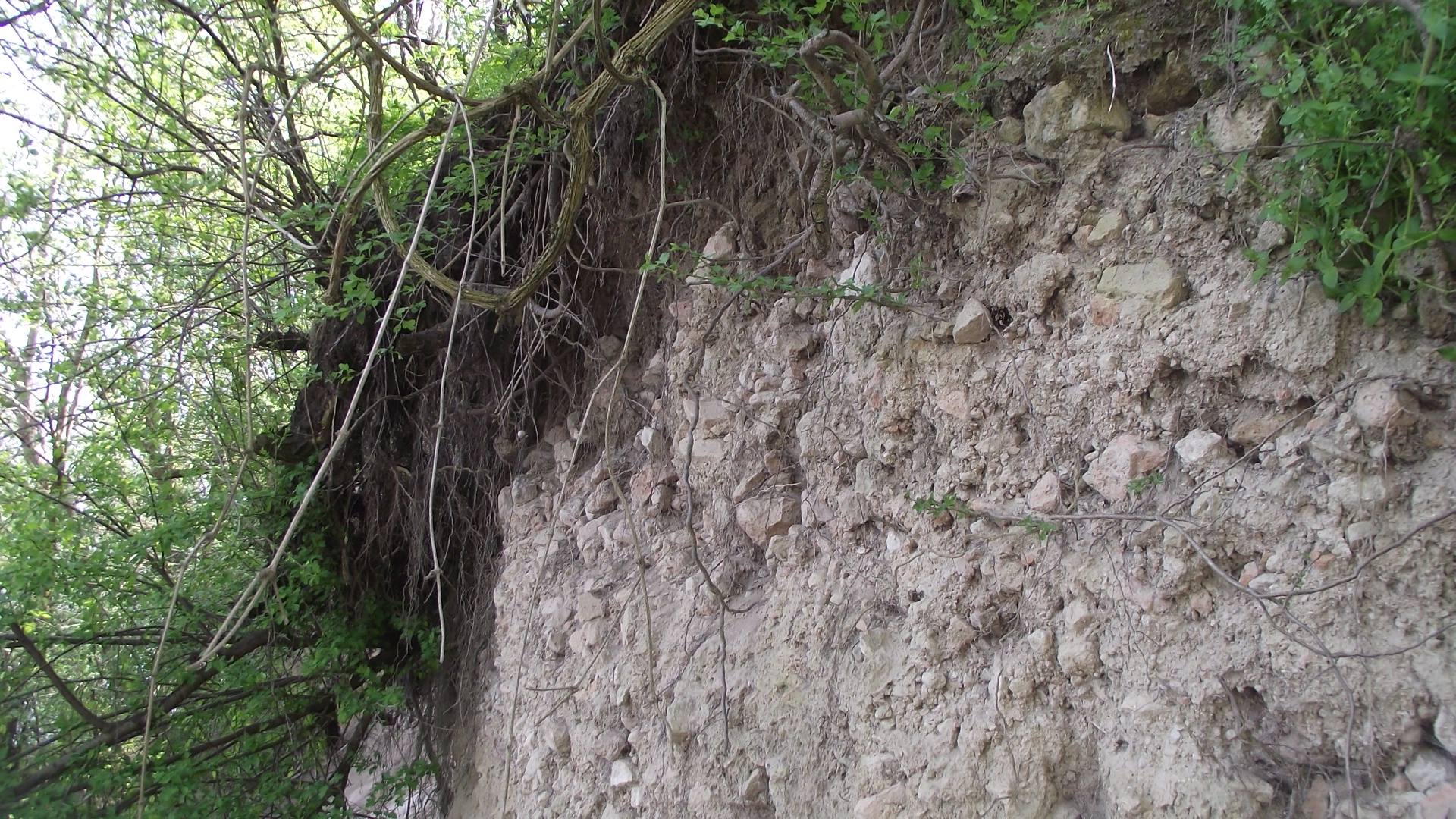 Ostaci na dunavskoj strani, možda kula ili bastion? FOTO: Dario Šošić 