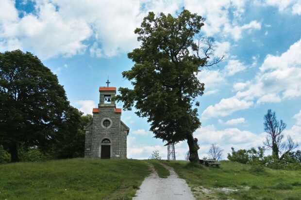 Martinščak vrh FOTO:P&M, CC BY-SA 4.0 01.06.2019. / Preuzeto sa prirodamitovi.eu