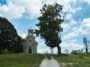 Martinščak vrh FOTO:P&M, CC BY-SA 4.0 01.06.2019. / Preuzeto sa prirodamitovi.eu