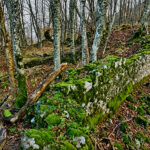 Brlog, Ruševine Starog Gusić grada FOTO: Martina Ivanuš Izvor: Ministarstvo kulture i medija RH