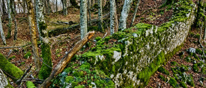 Brlog, Ruševine Starog Gusić grada FOTO: Martina Ivanuš Izvor: Ministarstvo kulture i medija RH