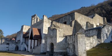 Kraljevska palača u Višegradu, jedna od najvažnijih srednjovjekovnih i renesansnih rezidencija na Dunavu. FOTO: Krešimir Regan