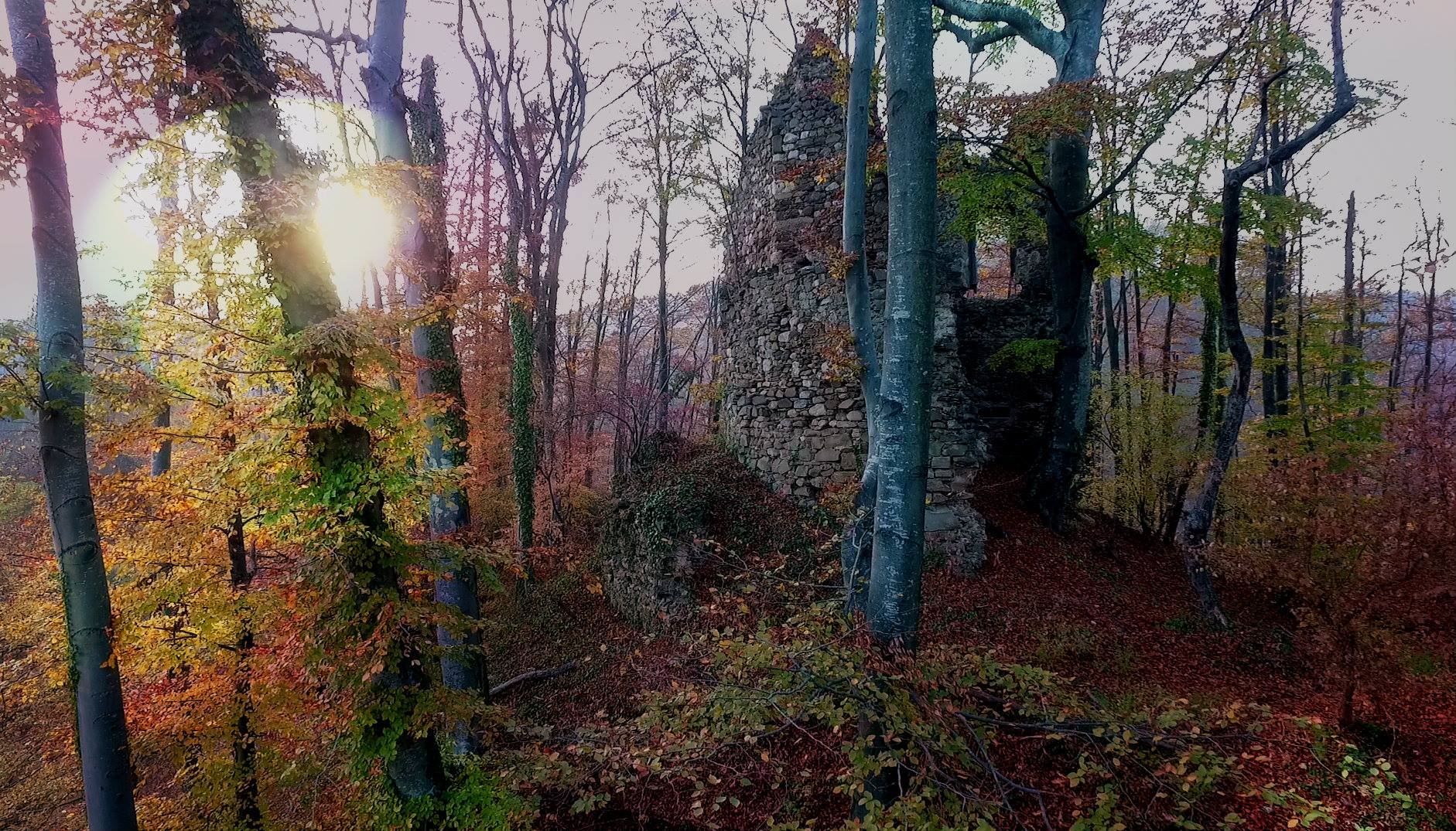 Dolački stari grad FOTO: Dario Zastavnik