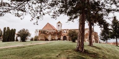 Stari grad Kaptol FOTO: visitslavonia.hr