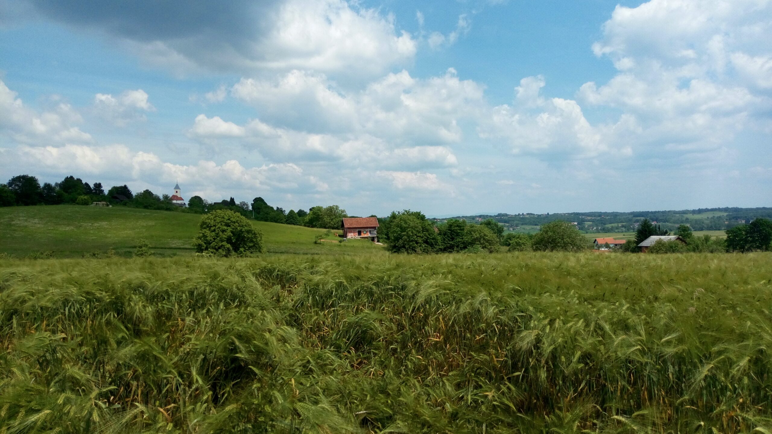 Martinščak vrh FOTO:P&M, CC BY-SA 4.0 01.06.2019. / Preuzeto sa prirodamitovi.eu