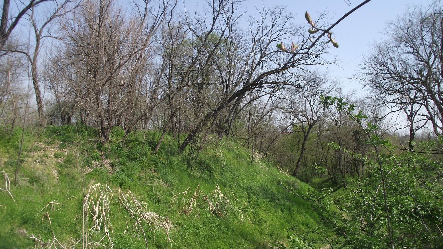 Gradina s jasno vidljivim opkopom. FOTO: Vukovarska utvrda Vukovo 