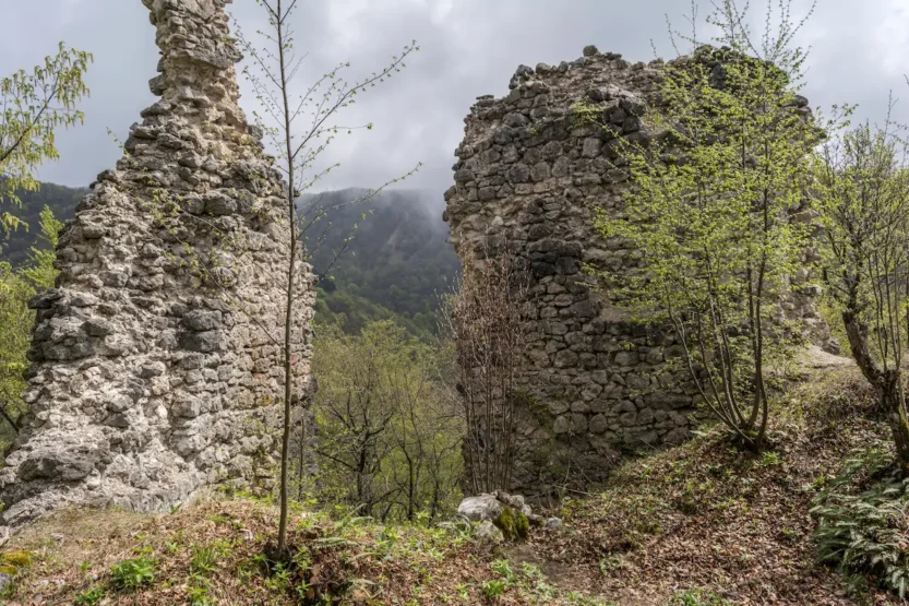 Ostaci branič kule FOTO: Darko Antolković