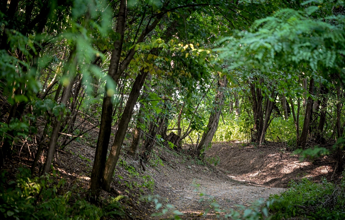 Gradina Slanje – Stari Gradec prostire se na približno 12,5 hektara, a njezini zemljani bedemi na pojedinim mjestima dosežu visinu od 14 metara. FOTO: Varaždinska županija