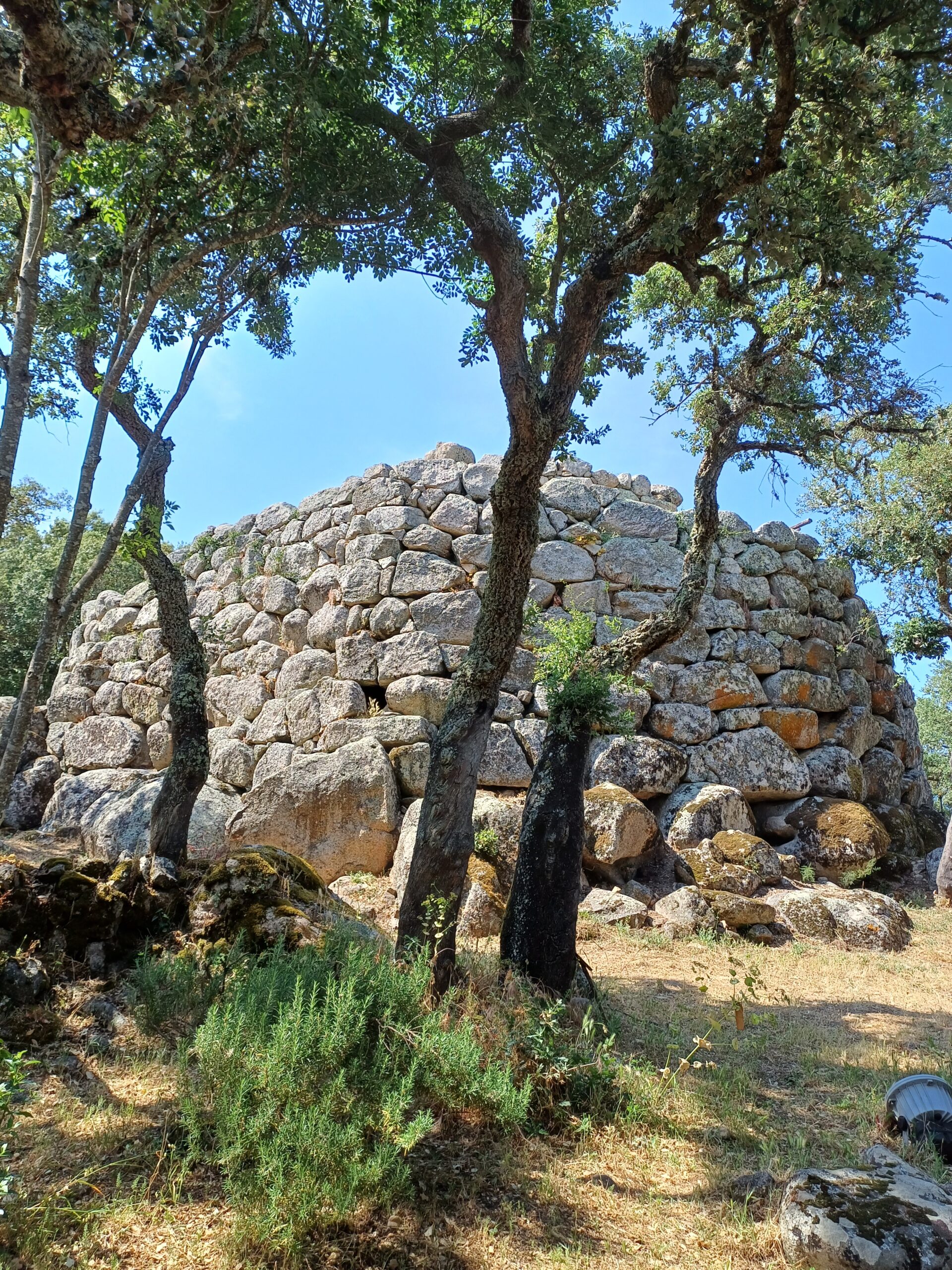 Nuraghe Majori kod Tempio Pausania na Sardiniji. Nuraghi su karakteristični kameni tornjevi kružnog tlocrta, nastali u brončano doba, koji su se mogli povezivati u veće obrambene cjeline. FOTO: Tomislav Matić