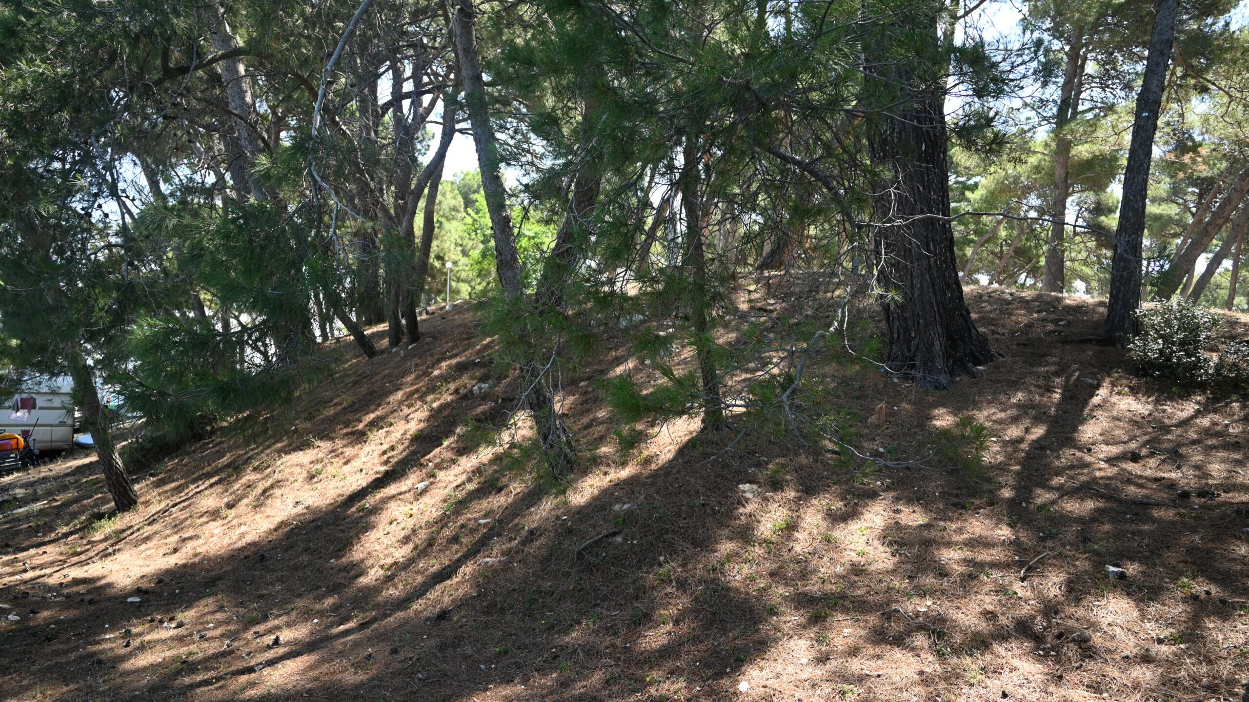Gradina Mala Pineta na poluotoku Kašteja kod Medulina pripada kamenim gradinskim naseljima istarskog prostora. Položaj na uzvisini i kameni obrambeni ostaci pokazuju kako je teren postajao dio same fortifikacije. Foto: Krešimir Regan
